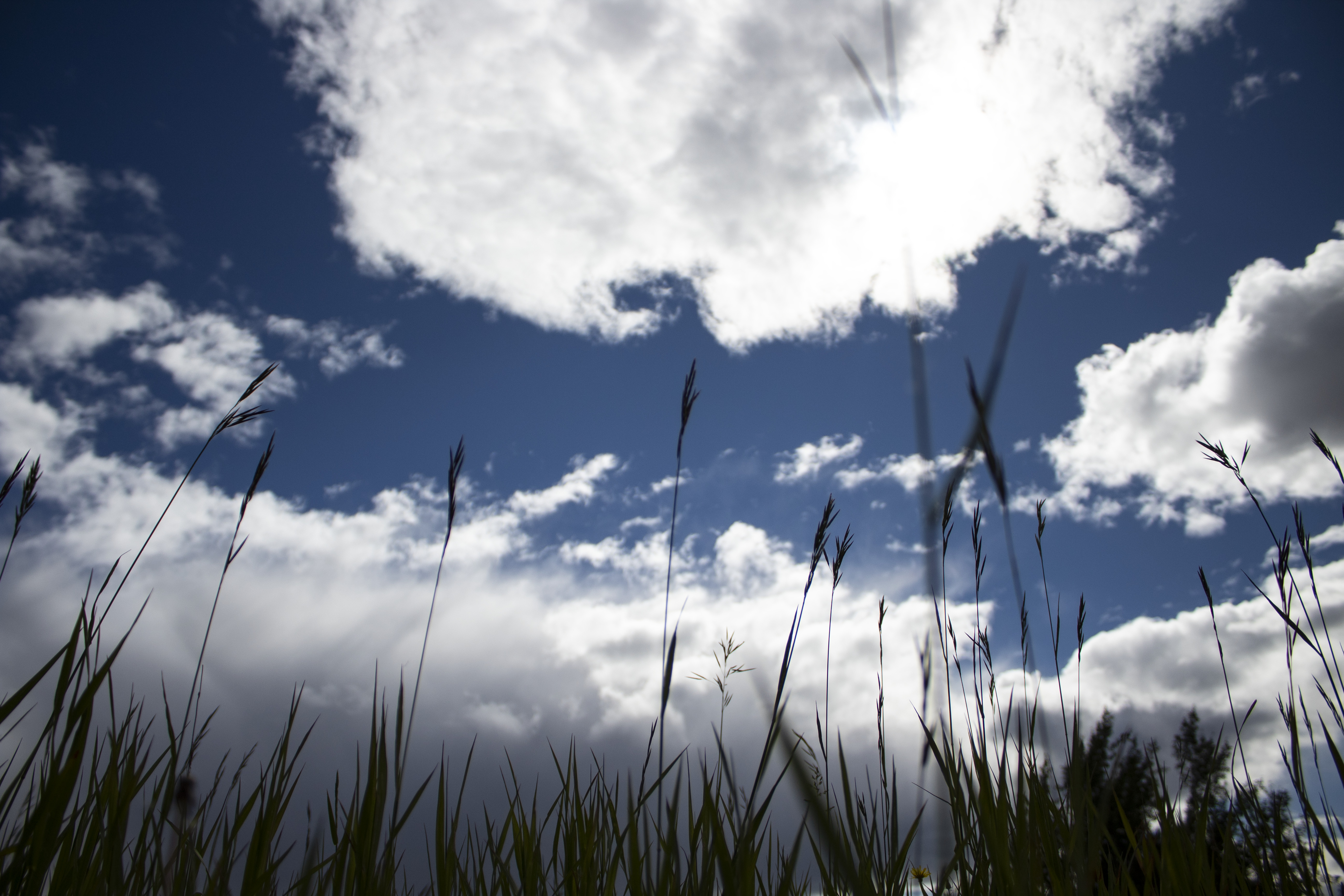 edited practice photo 1 (1 of 1)